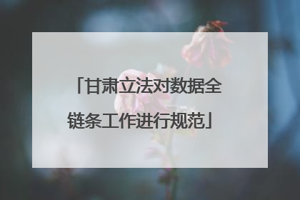 甘肃立法对数据全链条工作进行规范